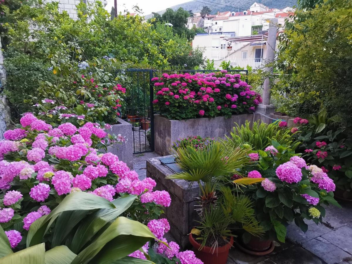 Apartments Sensa Dubrovnik Buitenkant foto