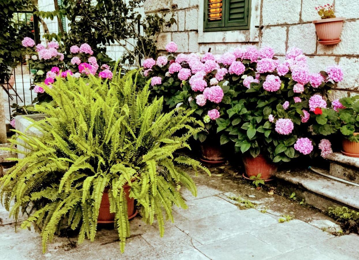 Apartments Sensa Dubrovnik Buitenkant foto